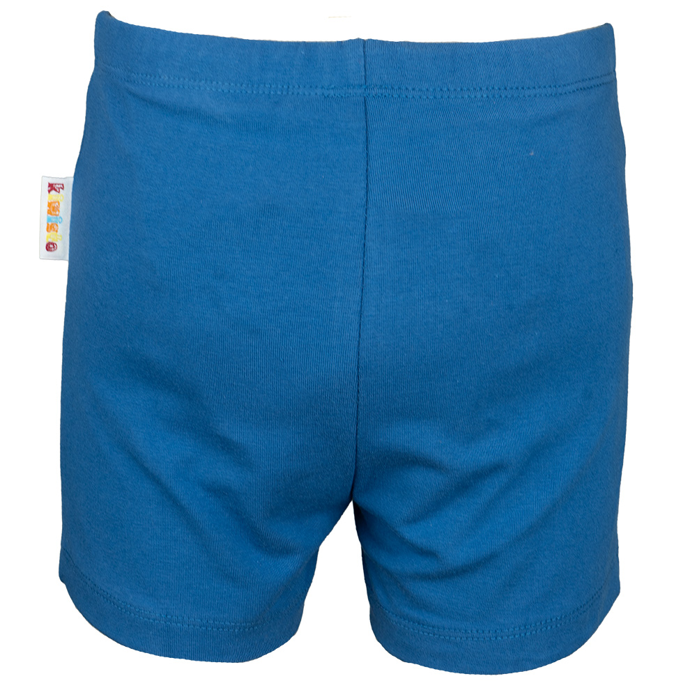kiwisto Kids ActivePants V2 - blau - Größe: M - 158/164